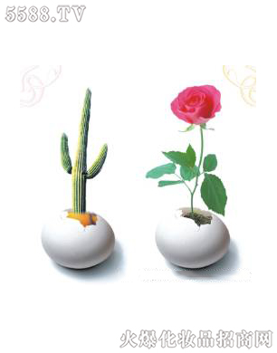 �Ϻ���������Ƽ����޹�˾����ǻ�ޏ�3��ɆT