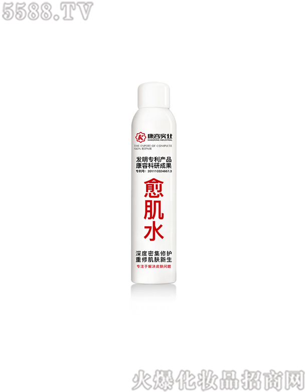 �V�|���݌�(sh��)�I(y��)���޹�˾������ˮ