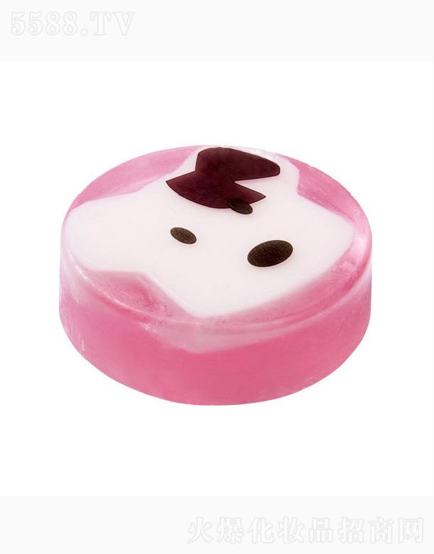 �V���G������Ƽ����޹�˾����ܽ����ͨС���ֹ���-��