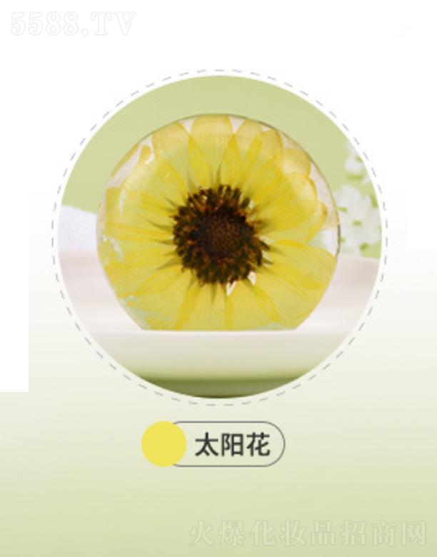 �V���mԊ(sh��)������Ʒ���޹�˾���mԊ(sh��)���mԊ(sh��)�𰱻����ֹ���-̫�(y��ng)��