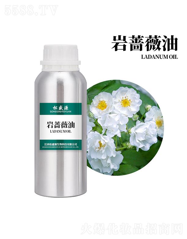 ������ʢԴ����Ƽ����޹�˾����ʢԴ�r�Nޱ��