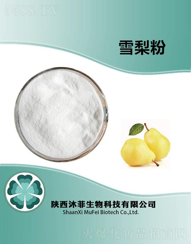 ����������Ƽ����޹�˾�����ѩ���