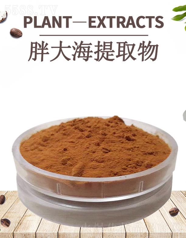 ����ĺ�����Ƽ����޹�˾���ĺ��ִ���ȡ��