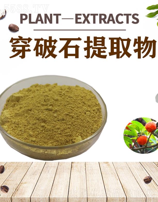 ����ĺ�����Ƽ����޹�˾���ĺ�����ʯ��ȡ��