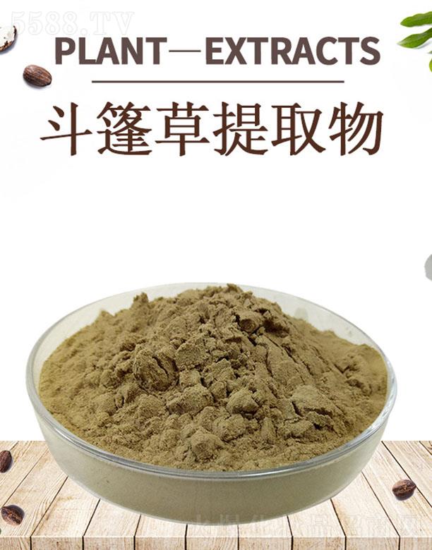 ����ĺ�����Ƽ����޹�˾���ĺ��������ȡ��