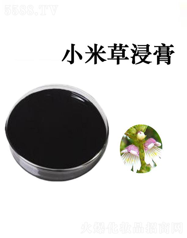 ����G�R����Ƽ����޹�˾���G�RС�ײݽ���