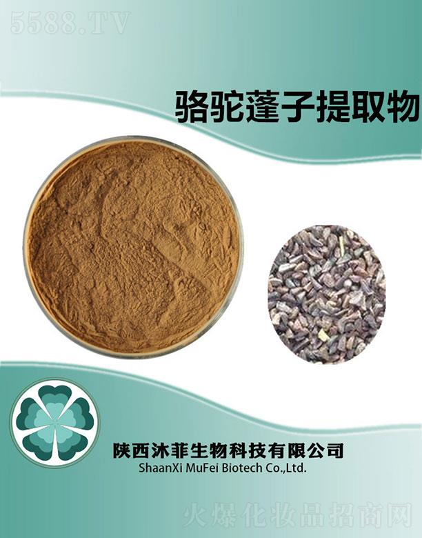 ����������Ƽ����޹�˾�������������ȡ��