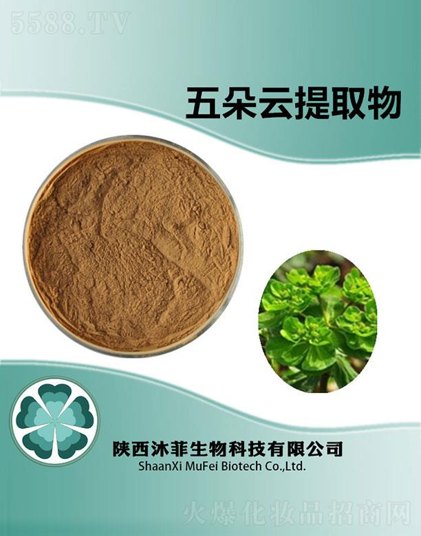 ����������Ƽ����޹�˾������������ȡ��