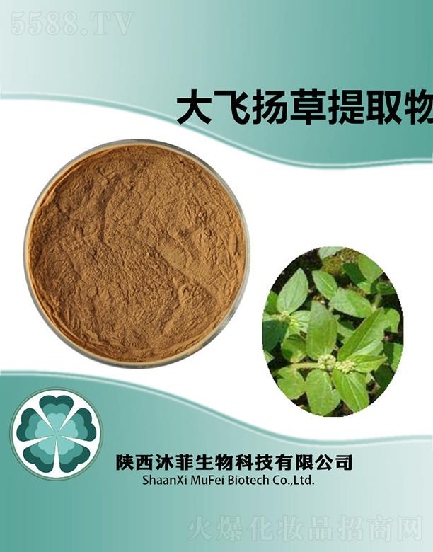 ����������Ƽ����޹�˾����ƴ��w�P(y��ng)����ȡ��