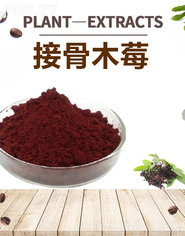 ����ĺ�����Ƽ����޹�˾���ĺ��ӹ�ľݮ