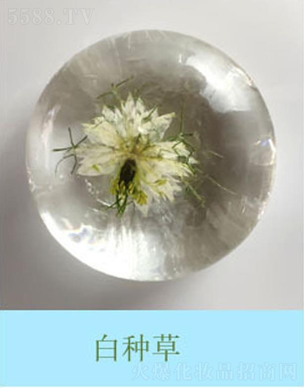 �V���к����m����Ƽ����޹�˾���������r�����׷N��