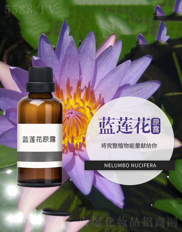 ����ɭ����Ƽ�(���u)���޹�˾���{(l��n)ɏ��ԭ¶