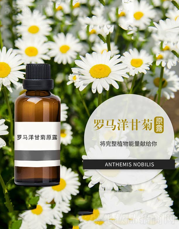 ����ɭ����Ƽ�(���u)���޹�˾���_�R��ʾ�ԭ¶