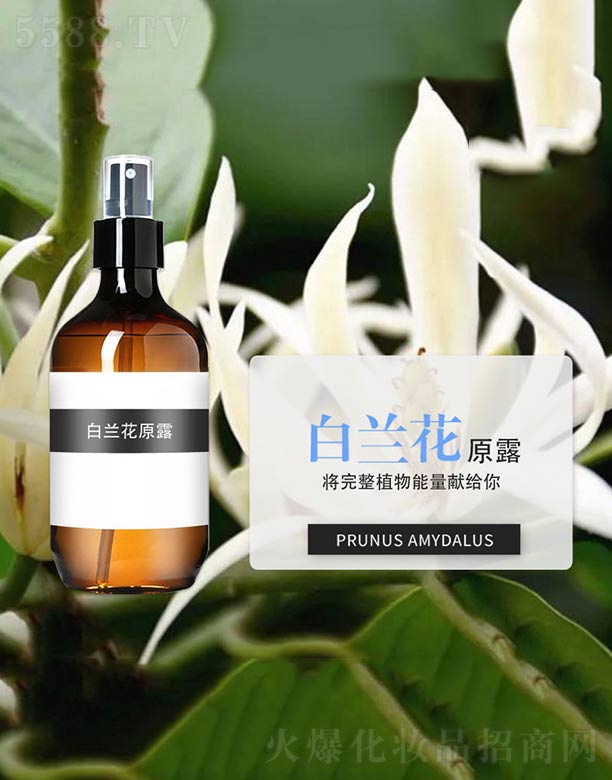 ����ɭ����Ƽ�(���u)���޹�˾�����m��ԭ¶