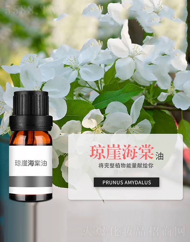 ����ɭ����Ƽ�(���u)���޹�˾�����º�����