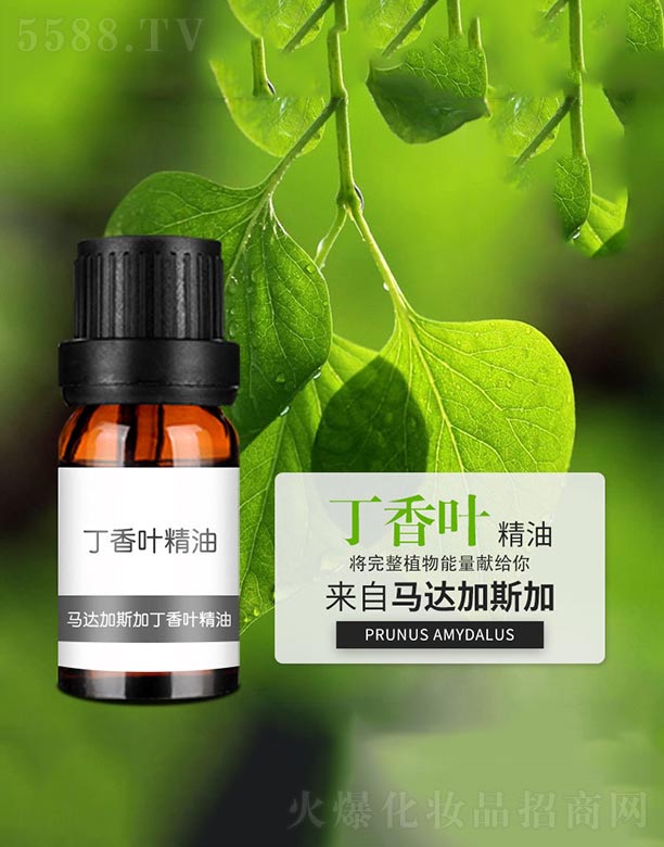 ����ɭ����Ƽ�(���u)���޹�˾�������~����