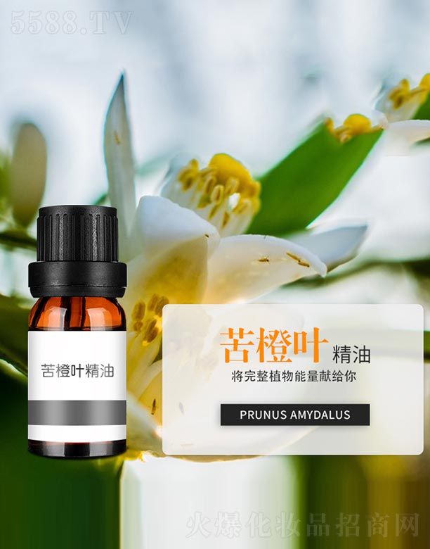 ����ɭ����Ƽ�(���u)���޹�˾������~����