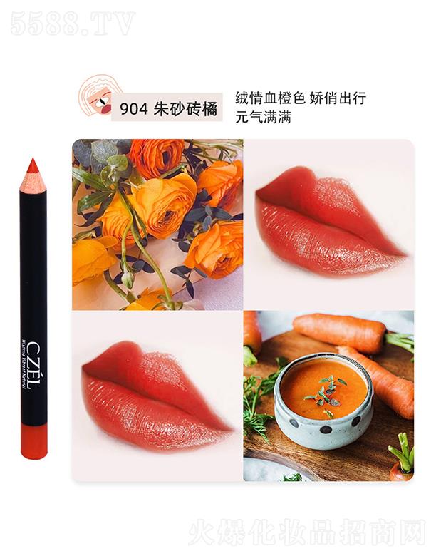 �㽭���`�Pˢ���޹�˾��CZEL��˽q�F΢�񴽾��P904��ɰ�u��