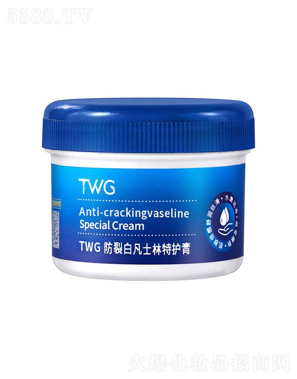 �V�ݼ�������Ƽ����޹�˾��TWG���Ѱ׷�ʿ�����o��