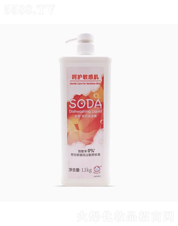�㽭�����ջ����޹�˾��SODA��Ȼ�K��ϴ����