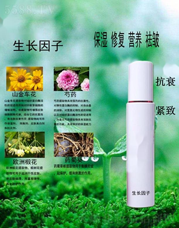 �V�������t(y��)ˎ����Ƽ����޹�˾�������ޏ;��A