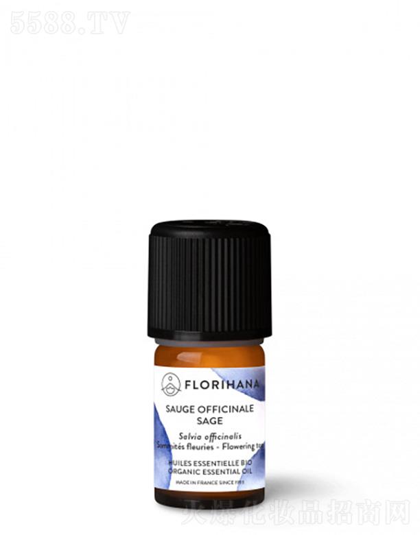 �������Ϻ������Q���޹�˾����β�ݾ���