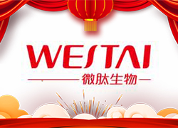 金龍送福，開門大吉！廣州微肽給您拜年了！