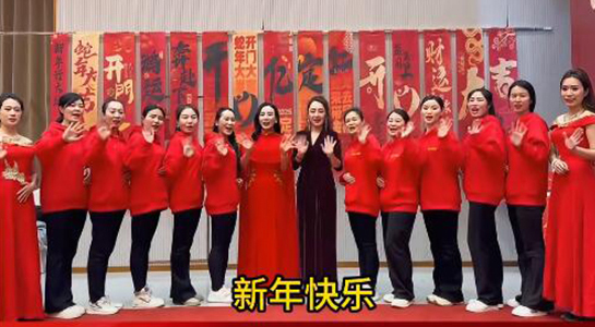 蛇年好運(yùn)至，幸福滿人間！飛斯達(dá)祝您百事從歡，一路向陽(yáng)！