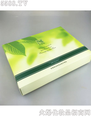 ʥ���A��޹���o�����b(13����)