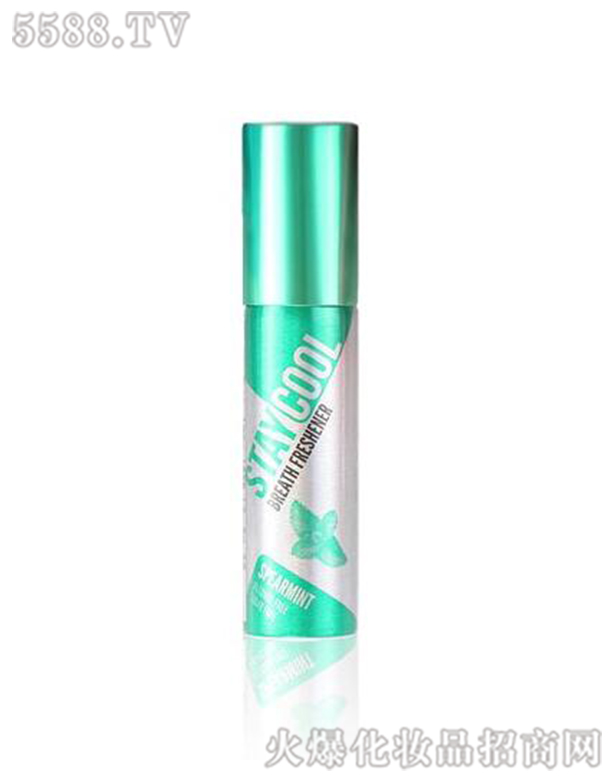 ʩ��ښ���������ˬ�������ͣ�