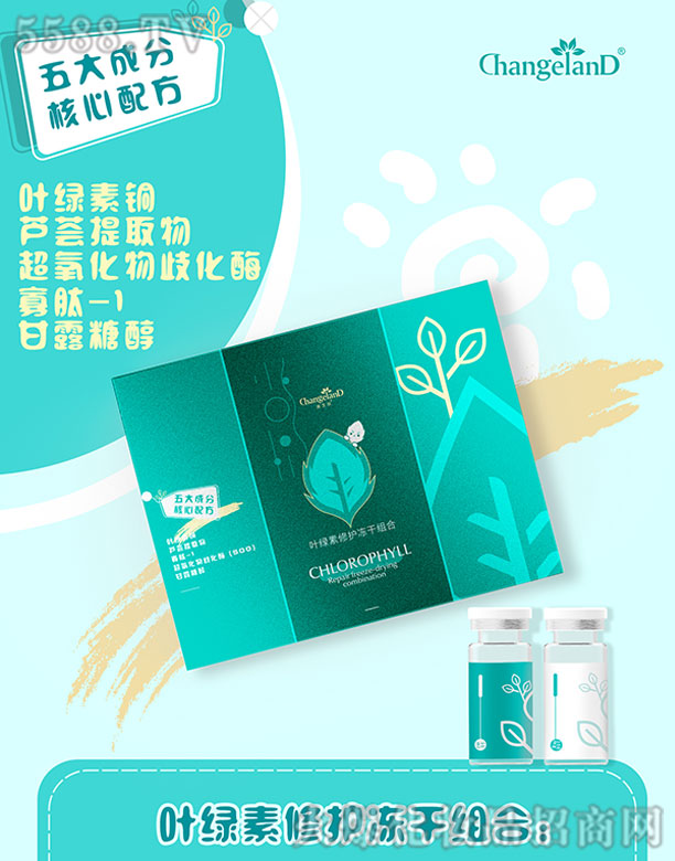 ��֥���~�G�����o(h��)���ɽM��