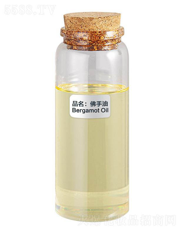 ɭ��������