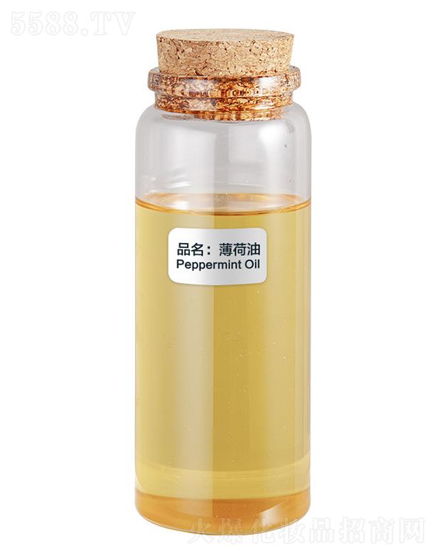 ɭ��������