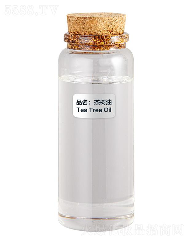 ɭ�������