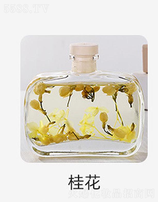 �o����޹����-��