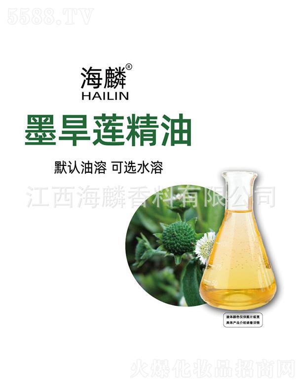 ����ī��ɏ����