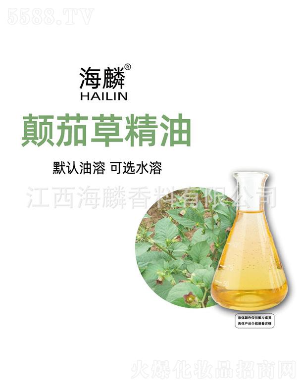 ������Ѳݾ���