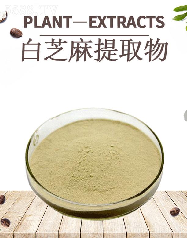 �ĺ���֥����ȡ��