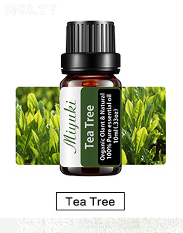 �o(h��)�w��޹��Ħ��-Tea Tree���