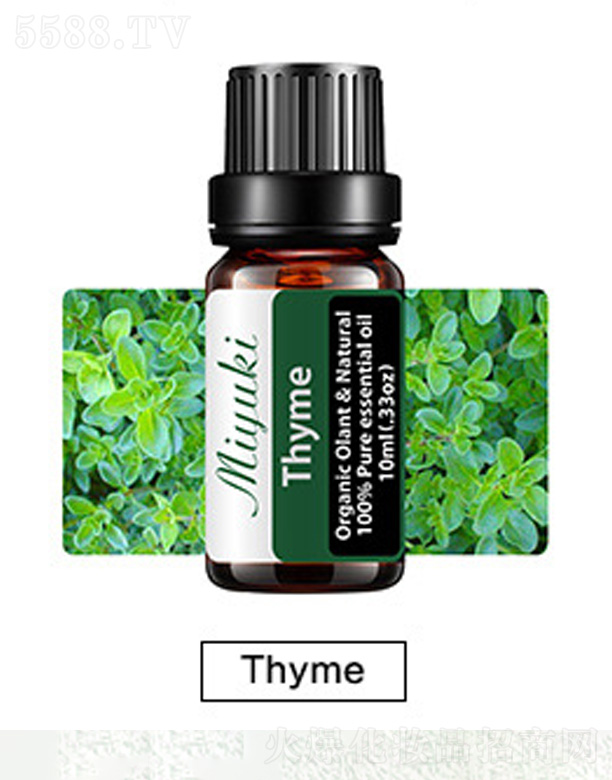 �o(h��)�w��޹��Ħ��-Thyme������