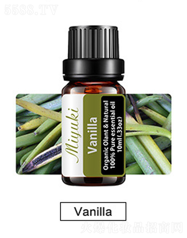 �o�w��޹��Ħ��-Vanilla���