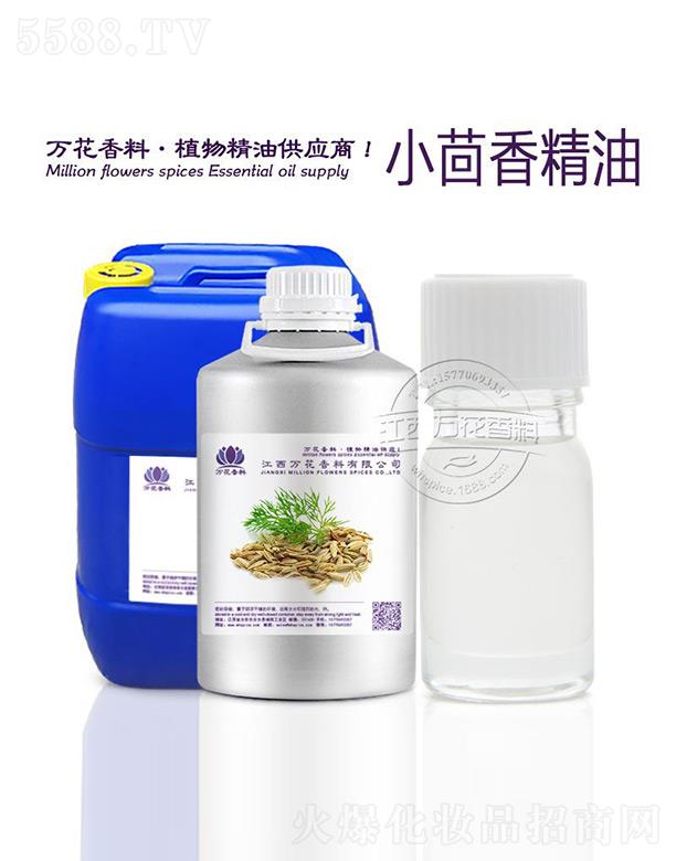 �f��С���㾫��