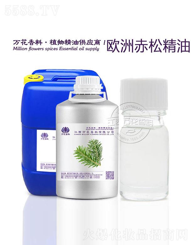 �f���W�޳��ɾ���