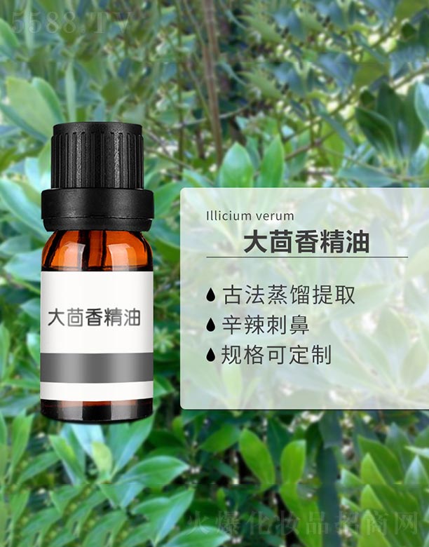 �����㾫��