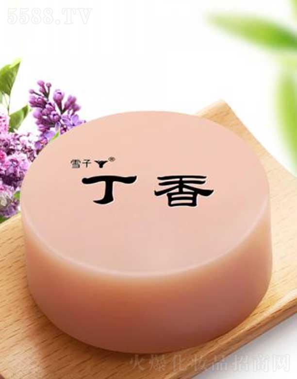 ѩ�Ӷ���ˮ����Դ�ֹ���