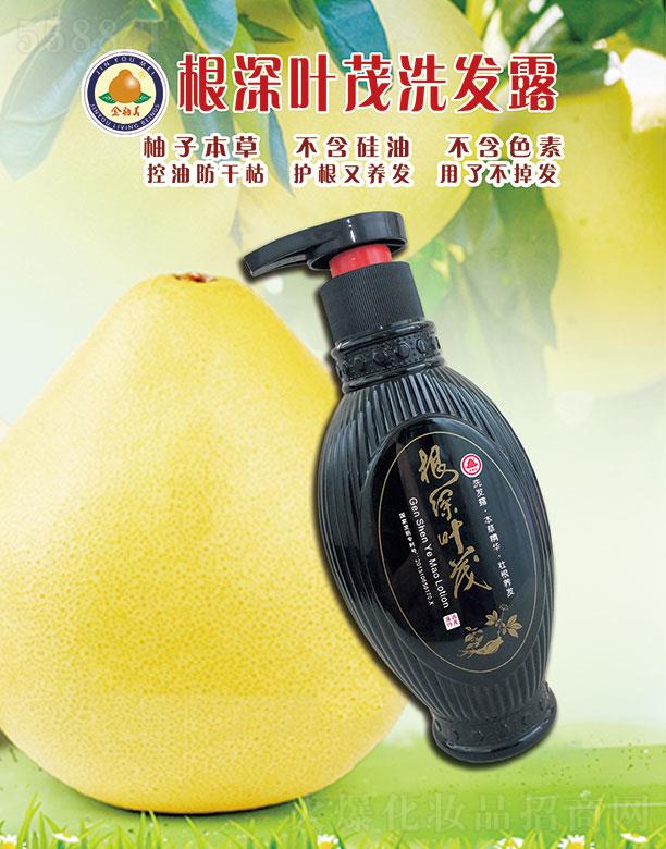 �����������~ïϴ�l(f��)¶