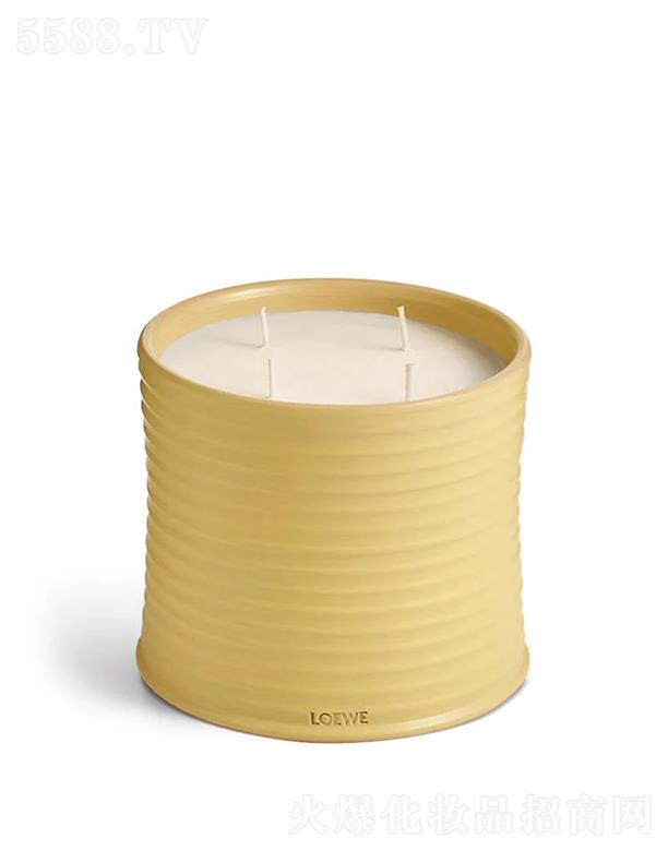 LOEWE��̖���y���㾫Ϟ�T 100����