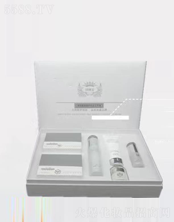 �V���л���ɏ �������