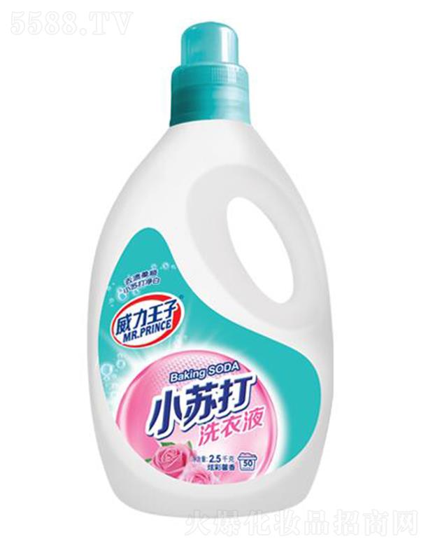 ��������С�K��ϴ��Һ 2.5ǧ��