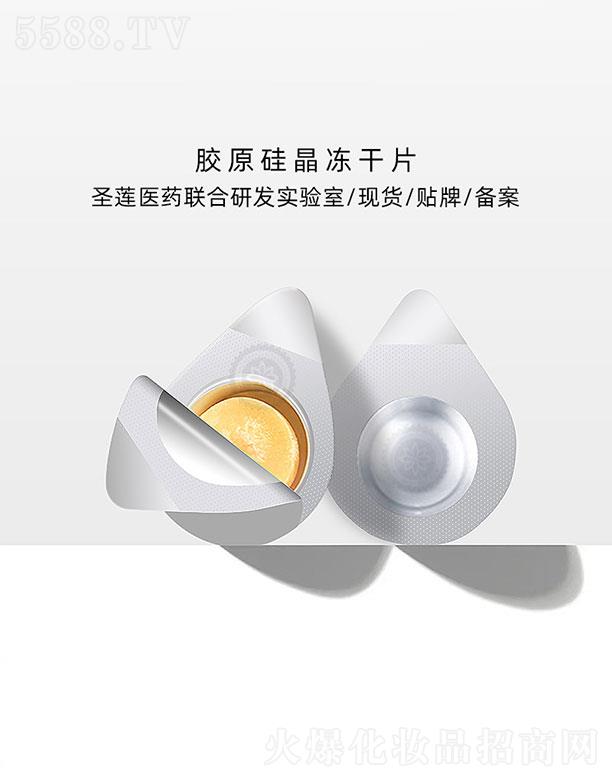 �V��ʥɏ  ʥɏ�����zԭ�辧����Ƭ   ���w���o